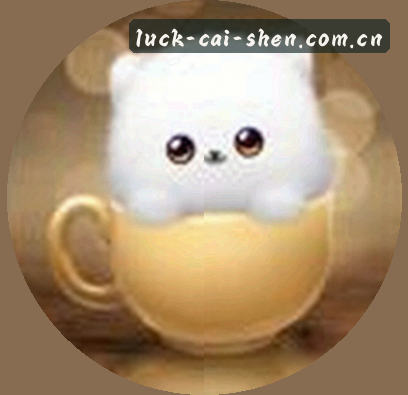 吴迪